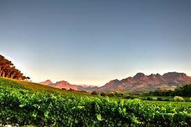 Audacia Wines Stellenbosch