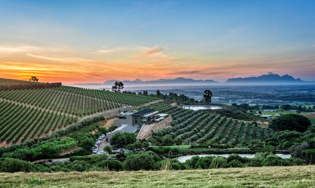 Fantastic views towards Cape Town from Hidden Valley wines
