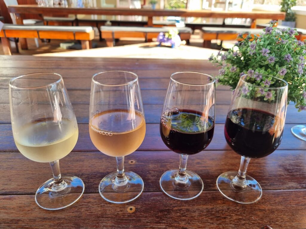Wine tasting flight in Stellenbosch featuring a selection of white, rosé, and red wines