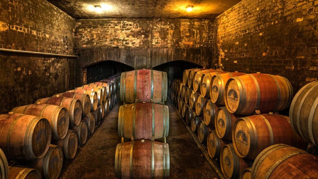 #Vriesenhof #StellenboschWine #JanBolandCoetzee #SpringbokLegend #CapeWinelands #PinotNoir #DieStoepVriesenhof #UndergroundCellar #SouthAfricanWine #LuxuryWineTours #PrestigeCapeTours